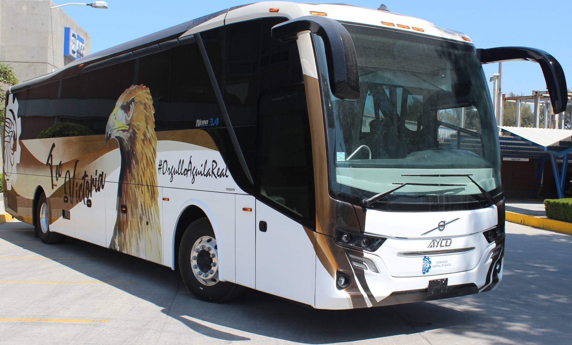 AYCO Nervi 14 · Volvo