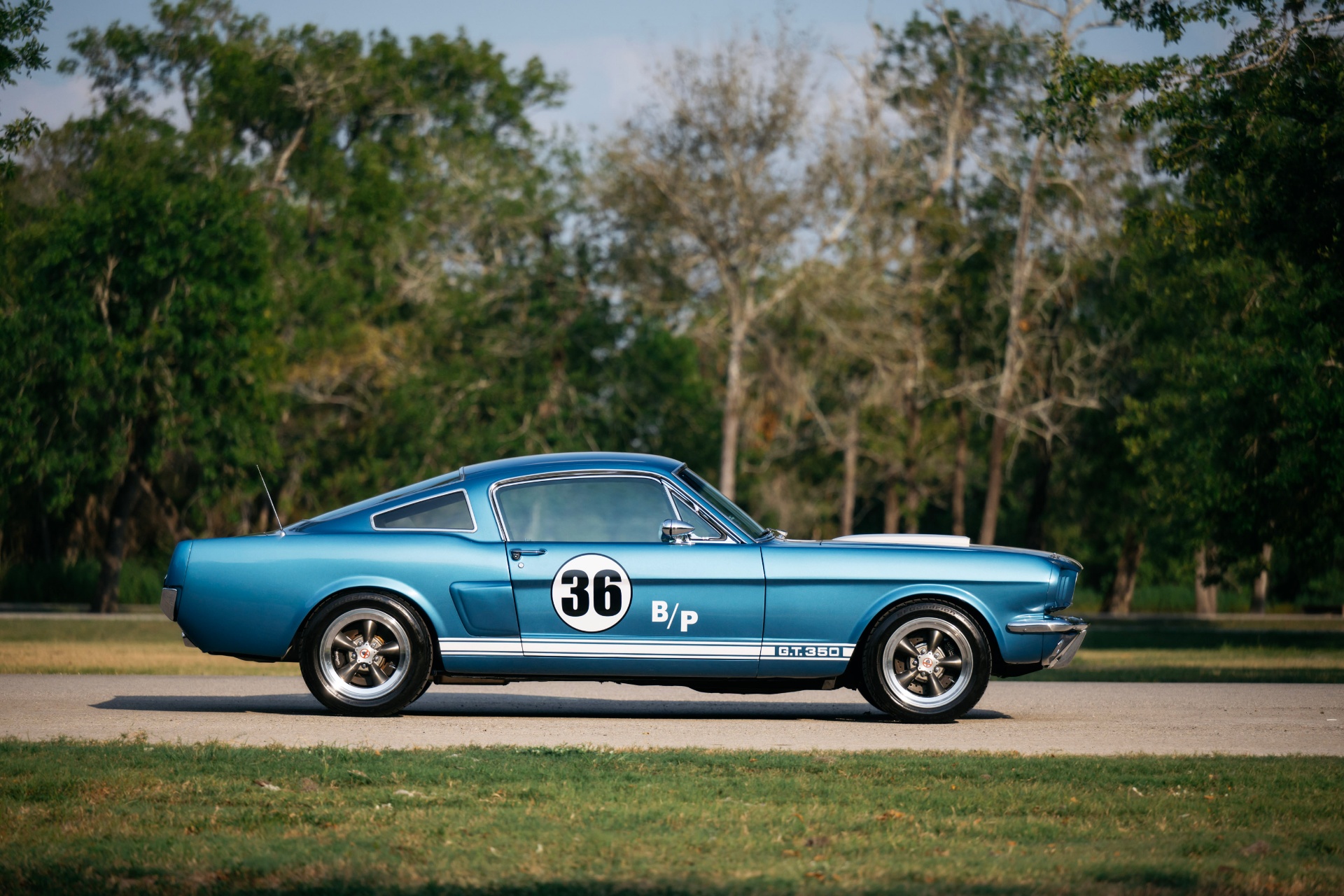 1966 Mustang Fastback Shelby GT350 — Profile