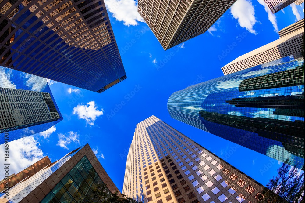 Houston view 8